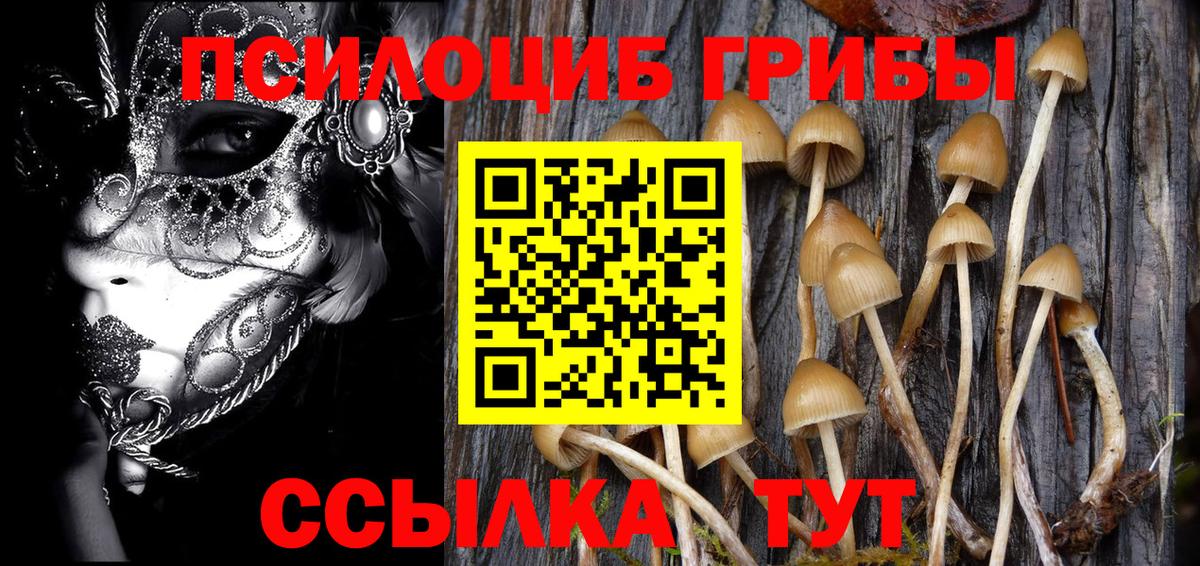 Галлюциногенные грибы ЛСД Дивногорск