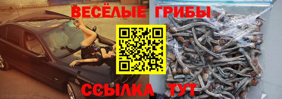 Дивногорск  Галлюциногенные грибы мухоморы  Вход с VPN 